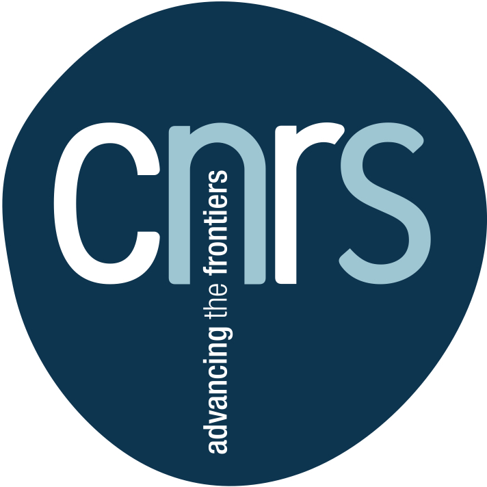 Soutien financier CNRS - PEPS INS2I 2017